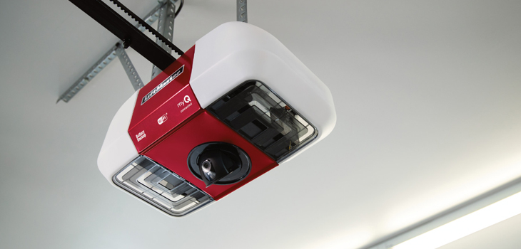 liftmaster garage door motor repair in San Fernando